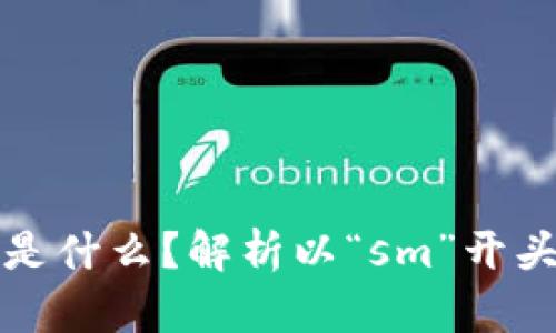 区块链钱包地址是什么？解析以“sm”开头的地址及其含义