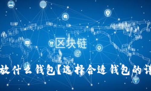 比特币放什么钱包？选择合适钱包的详细指南