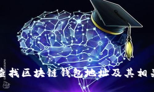 如何查找区块链钱包地址及其相关信息