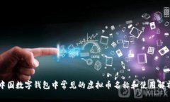 中国数字钱包中常见的虚