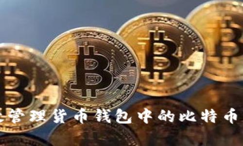 如何有效管理货币钱包中的比特币充值数量