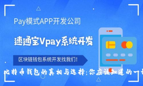 : 比特币钱包的真相与选择：你应该知道的一切