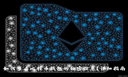 如何查看比特币钱包的私密信息？详细指南