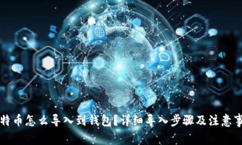 比特币怎么导入到钱包？详细导入步骤及注意事项