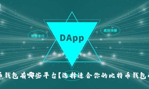 比特币钱包有哪些平台？选择适合你的比特币钱包的指南