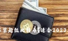 什么钱包可以装超级比特