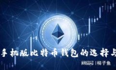 苹果手机版比特币钱包的