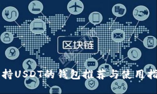 支持USDT的钱包推荐与使用指南