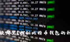 比特币存放哪里？探秘比