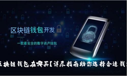 区块链钱包在哪买？详尽指南助你选择合适钱包
