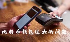 如何解决比特币钱包过大
