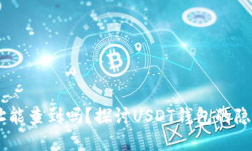 USDT钱包地址能查到吗？探讨USDT钱包的隐私性与透明性