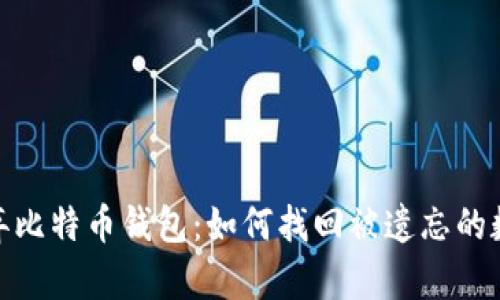 破解废弃比特币钱包：如何找回被遗忘的数字财富