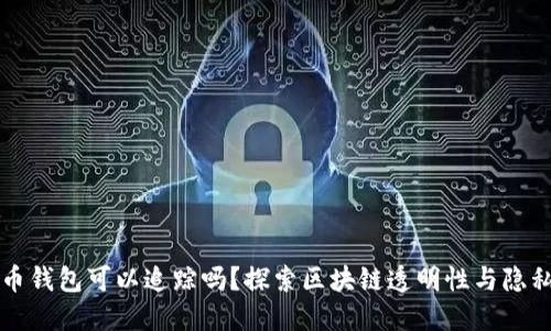 虚拟币钱包可以追踪吗？探索区块链透明性与隐私保护