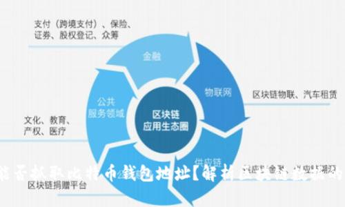  爬虫能否抓取比特币钱包地址？解析区块链数据的可能性