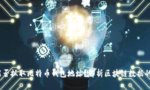  爬虫能否抓取比特币钱包地址？解析区块链数据的可能性