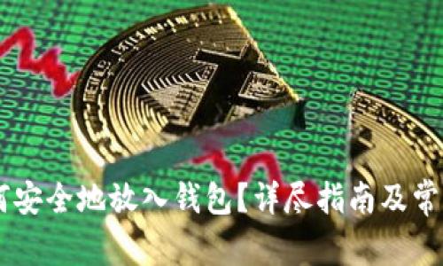 : USDT如何安全地放入钱包？详尽指南及常见问题解答