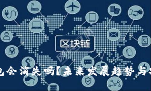 虚拟币钱包会消失吗？未来发展趋势与安全性分析