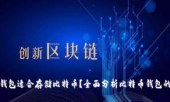 哪些钱包适合存储比特币
