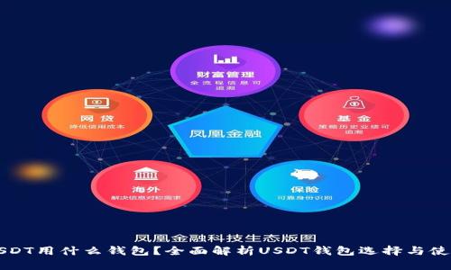 存放USDT用什么钱包？全面解析USDT钱包选择与使用指南