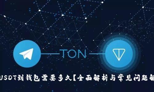 提USDT到钱包需要多久？全面解析与常见问题解答