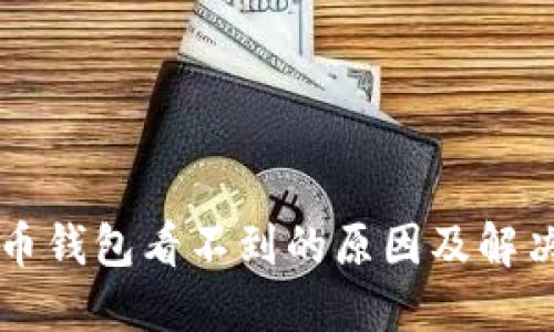 比特币钱包看不到的原因及解决方法