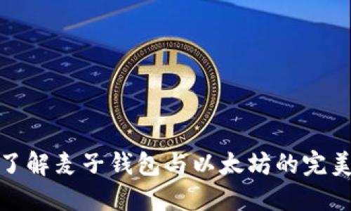 深入了解麦子钱包与以太坊的完美结合