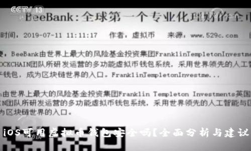 iOS可用虚拟币钱包安全吗？全面分析与建议