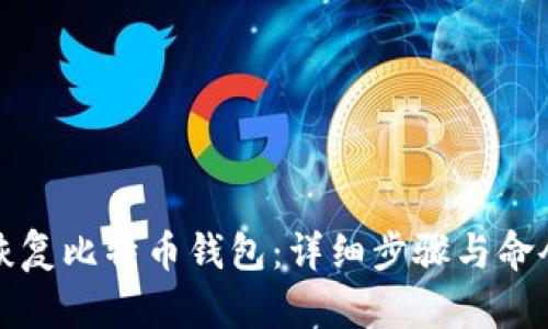 如何恢复比特币钱包：详细步骤与命令解析