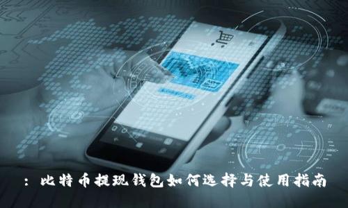 : 比特币提现钱包如何选择与使用指南