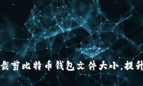 如何有效裁剪比特币钱包文件大小，提升存储效率