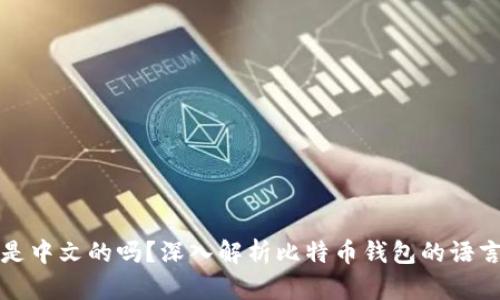 比特币钱包是中文的吗？深入解析比特币钱包的语言和使用问题