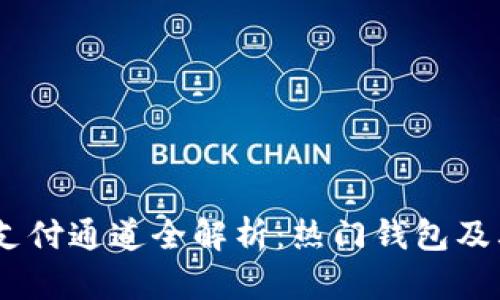 USDT钱包支付通道全解析：热门钱包及其支付方式