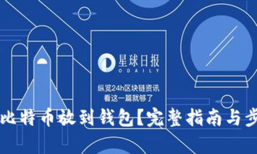 怎么把比特币放到钱包？完整指南与步骤解析