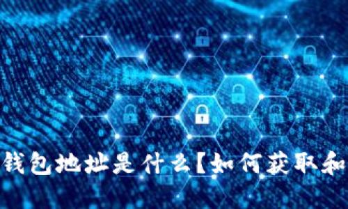 USDT钱包地址是什么？如何获取和使用？