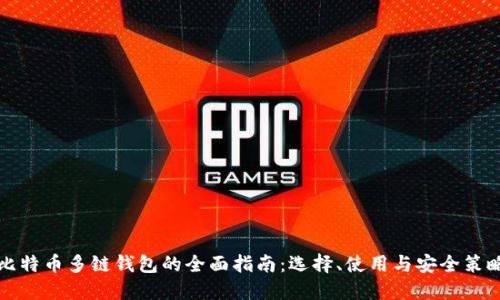 比特币多链钱包的全面指南：选择、使用与安全策略