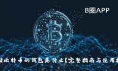存储比特币的钱包是什么