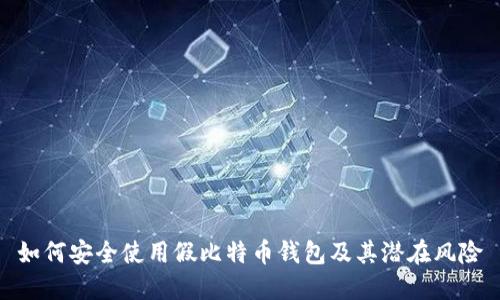 如何安全使用假比特币钱包及其潜在风险
