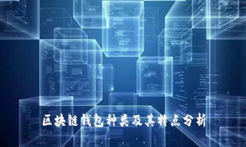 区块链钱包种类及其特点分析