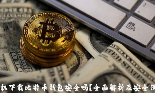 
手机下载比特币钱包安全吗？全面解析及安全保障