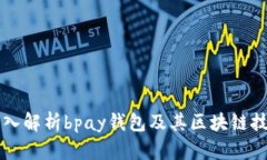 深入解析bpay钱包及其区块
