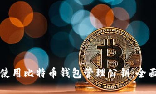 如何使用比特币钱包管理公钥：全面指南