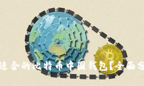 如何选择适合的比特币中国钱包？全面分析与推荐