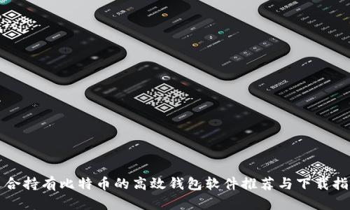 适合持有比特币的高效钱包软件推荐与下载指南