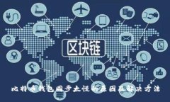 比特币钱包同步太慢的原