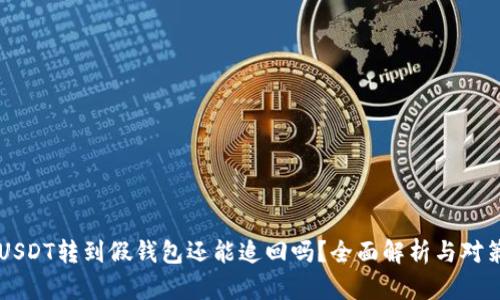 USDT转到假钱包还能追回吗？全面解析与对策