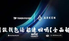 USDT转到假钱包还能追回吗？全面解析与对策