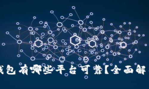 区块链钱包有哪些平台可靠？全面解析与推荐