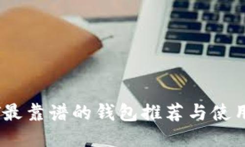 USDT最靠谱的钱包推荐与使用指南