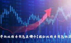 最早的比特币钱包是哪个